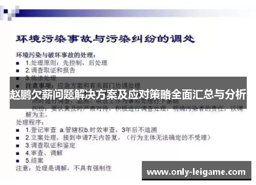 赵鹏欠薪问题解决方案及应对策略全面汇总与分析