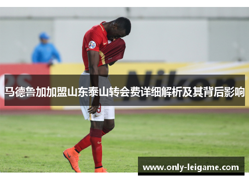 马德鲁加加盟山东泰山转会费详细解析及其背后影响