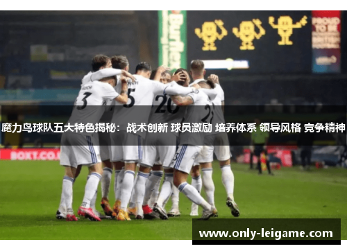 魔力鸟球队五大特色揭秘：战术创新 球员激励 培养体系 领导风格 竞争精神