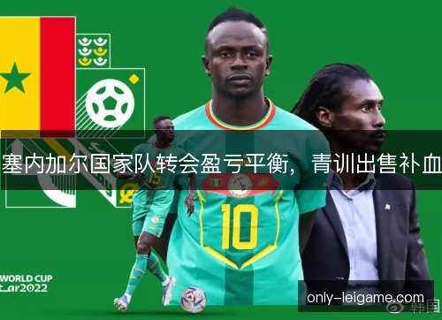塞内加尔国家队转会盈亏平衡，青训出售补血